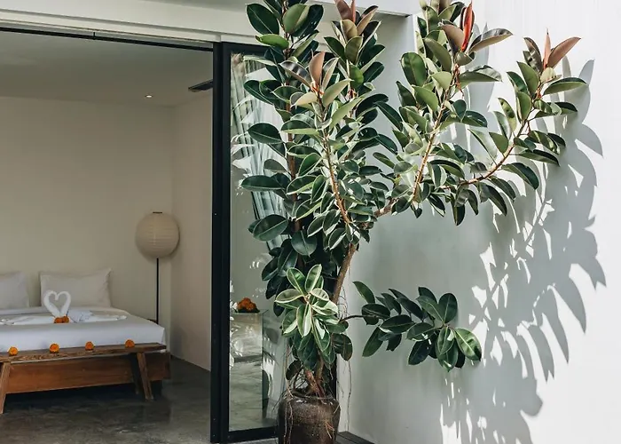 ヴィラ Private 1br Pool In Canggu, Closable Livingroom, 5mins Ride To Atlas Club チャングー