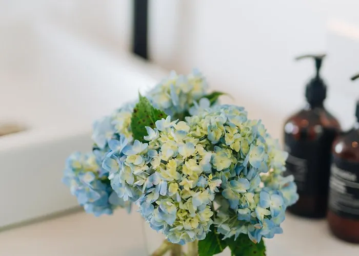 Private 1br Pool In Canggu, Closable Livingroom, 5mins Ride To Atlas Club ヴィラ *